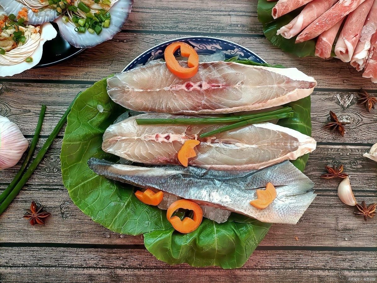 如何區分馬古龍魚和馬友魚？（古龍魚和馬友魚有什么區別馬友魚和馬鮫魚的區別）