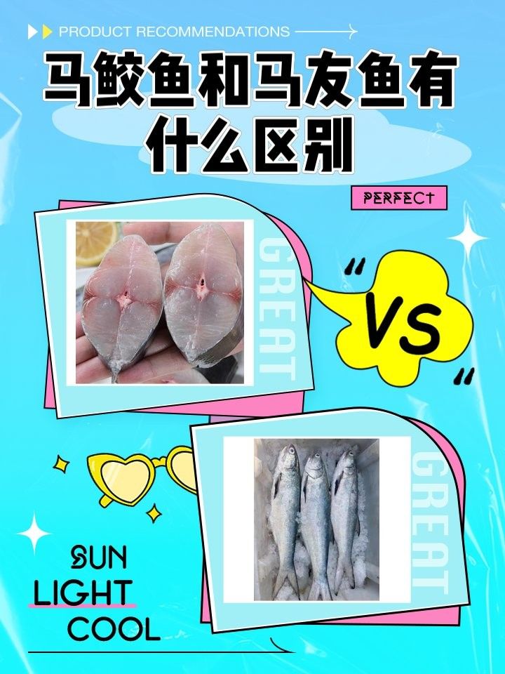 如何區分馬古龍魚和馬友魚？（古龍魚和馬友魚有什么區別馬友魚和馬鮫魚的區別）