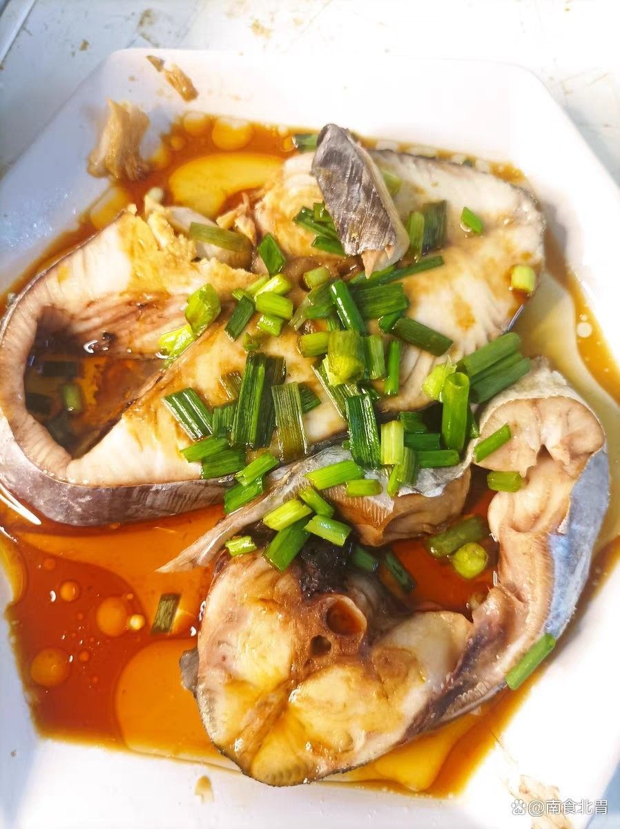 如何區分馬古龍魚和馬友魚？（古龍魚和馬友魚有什么區別馬友魚和馬鮫魚的區別）