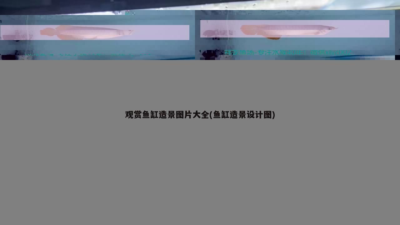 彩蝶魚缸標志是什么(彩蝶魚缸型號大全)（彩蝶魚缸標志是什么） 彩蝶魚缸標志是什么(彩蝶魚缸型號大全)（彩蝶魚缸標志是什么） 觀賞魚百科