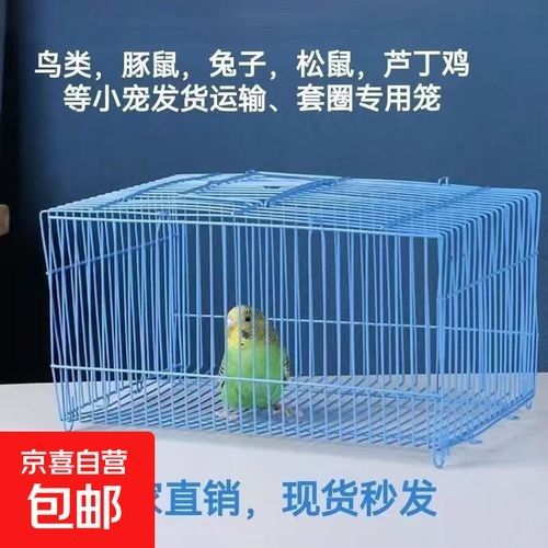 龍貓籠子有哪些品牌推薦（龍貓愛好者中廣受好評的龍貓籠子品牌推薦及信息） 龍貓籠子有哪些品牌推薦（龍貓愛好者中廣受好評的龍貓籠子品牌推薦及信息） 龍魚百科 第10張