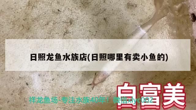 日照龍魚水族店(日照哪里有賣小魚的)（日照龍魚水族店）