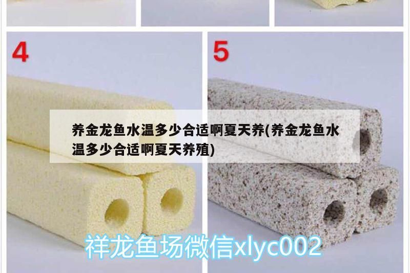 養(yǎng)金龍魚水溫多少合適啊夏天養(yǎng)(養(yǎng)金龍魚水溫多少合適啊夏天養(yǎng)殖)（夏天養(yǎng)金龍魚水溫多少合適）