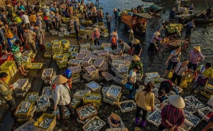 防城港金龍魚批發市場的地址在哪里？（防城港最大的批發市場在哪里？） 防城港金龍魚批發市場的地址在哪里？（防城港最大的批發市場在哪里？） 龍魚百科 第4張