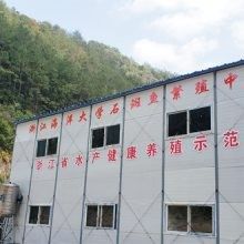 磐安紅龍魚（磐安紅龍魚好養嗎，）