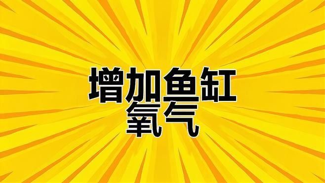 如何增加水體的溶氧量？（如何提高水體溶氧量）