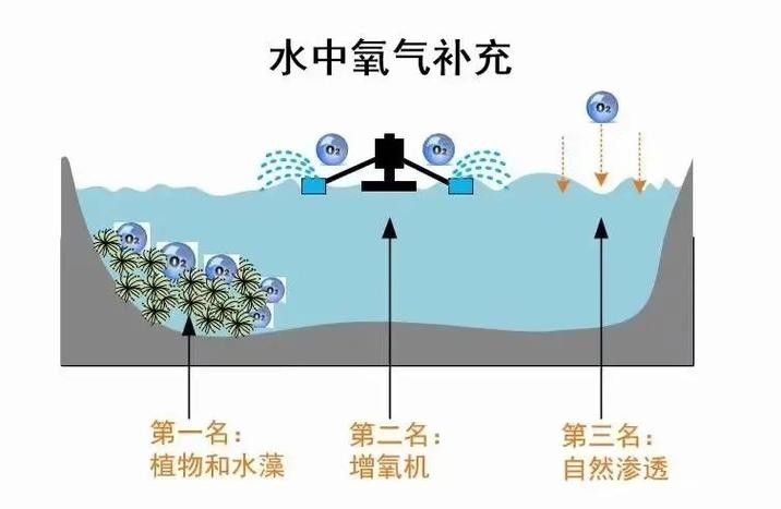 如何增加水體的溶氧量？（如何提高水體溶氧量）