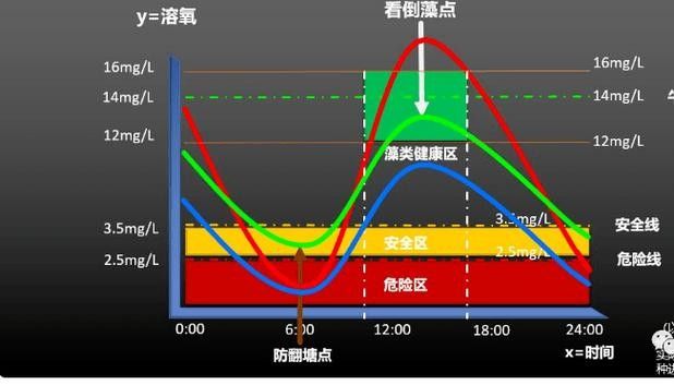 如何增加水體的溶氧量？（如何提高水體溶氧量）