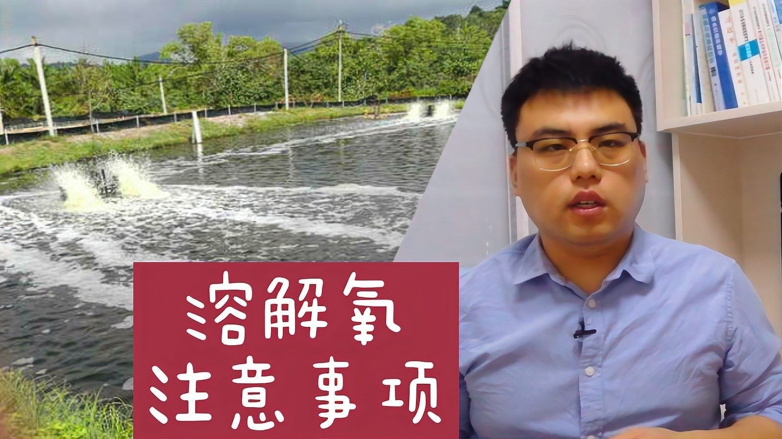 如何增加水體的溶氧量？（如何提高水體溶氧量）
