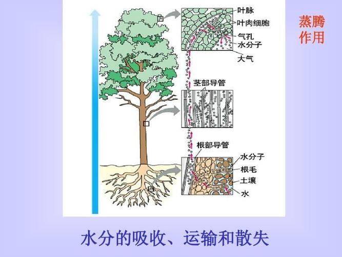 如何增加水體的溶氧量？（如何提高水體溶氧量）
