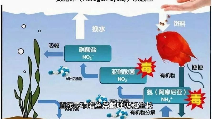 如何增加水體的溶氧量？（如何提高水體溶氧量）