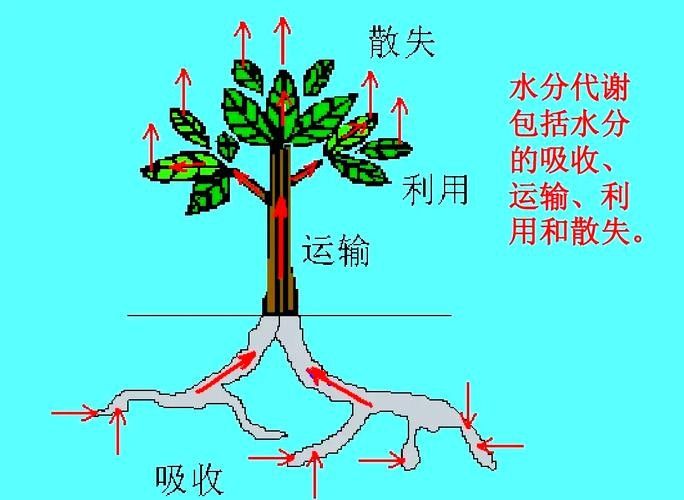 如何增加水體的溶氧量？（如何提高水體溶氧量）