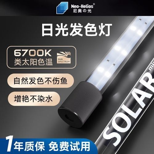 龍魚缸燈具價格范圍