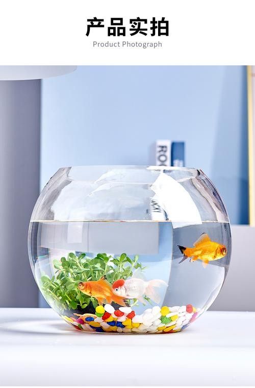 如何判斷龍魚是否處于壓力狀態(tài)？，如何判斷龍魚是否處于壓力狀態(tài)