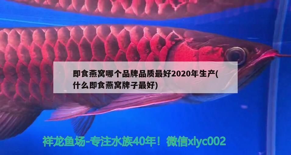 即食燕窩哪個品牌品質最好2020年生產(什么即食燕窩牌子最好)