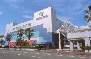 怒江傈僳族自治州觀賞魚市場：怒江傈僳族自治州的觀賞魚市場