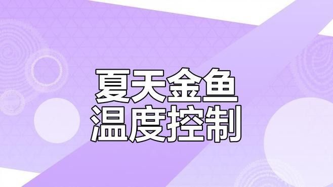 黑龍睛金魚最佳養殖溫度是多少（黑龍睛金魚的最佳養殖溫度范圍）