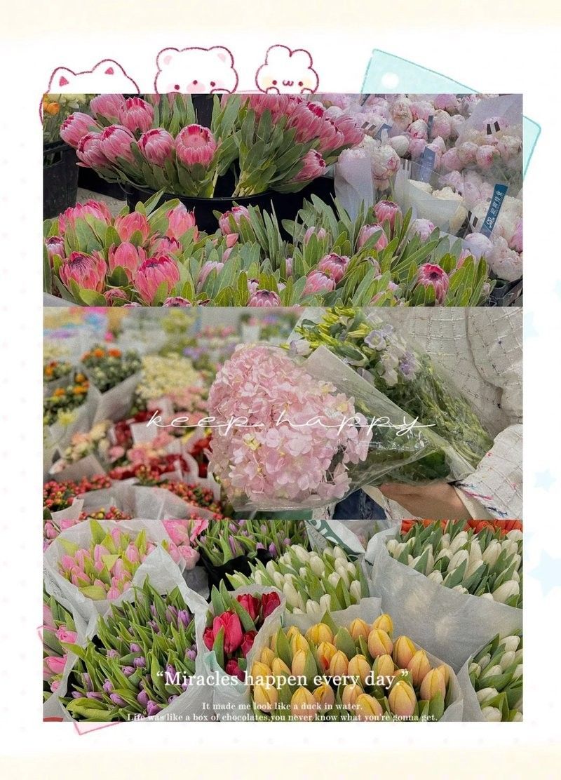 哪里可以購買到這些稀有品種（京津冀花鳥魚蟲市場全攻略京津冀花鳥魚蟲市場全攻略） 哪里可以購買到這些稀有品種（京津冀花鳥魚蟲市場全攻略京津冀花鳥魚蟲市場全攻略） 龍魚百科 第1張