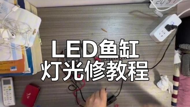 凱龍魚缸有哪些常見故障？（凱龍魚缸可能遇到的一些常見問題）
