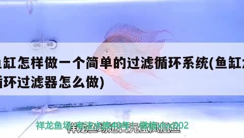 魚缸怎樣做一個簡單的過濾循環系統(魚缸水循環過濾器怎么做)