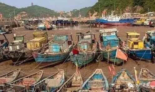 如何評估海龍魚禁令的效果（淺論海龍魚禁令實施后的具體數據）