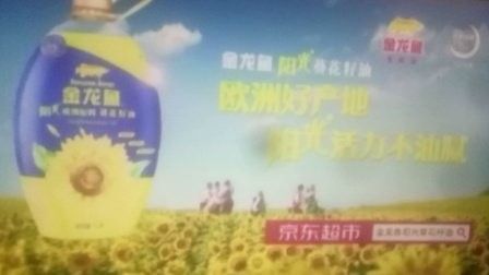 金龍魚葵花籽油廣告（金龍魚葵花籽油廣告以“陽光活力”為核心賣點） 金龍魚葵花籽油廣告（金龍魚葵花籽油廣告以“陽光活力”為核心賣點） 觀賞魚百科 第2張