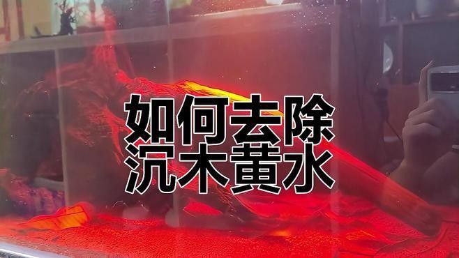 如何處理沉木導致的黃水問題？（沉木黃水怎么處理）
