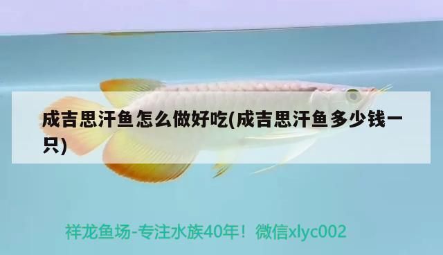 成吉思汗魚怎么做好吃(成吉思汗魚多少錢一只)（成吉思汗魚怎么做好吃） 成吉思汗魚怎么做好吃(成吉思汗魚多少錢一只)（成吉思汗魚怎么做好吃） 觀賞魚百科