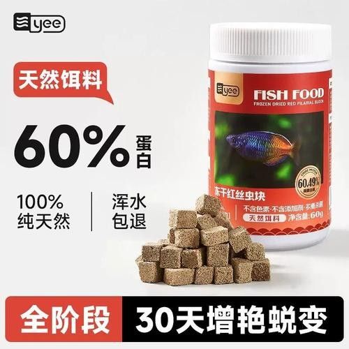 江陵金龍魚屬于什么檔次