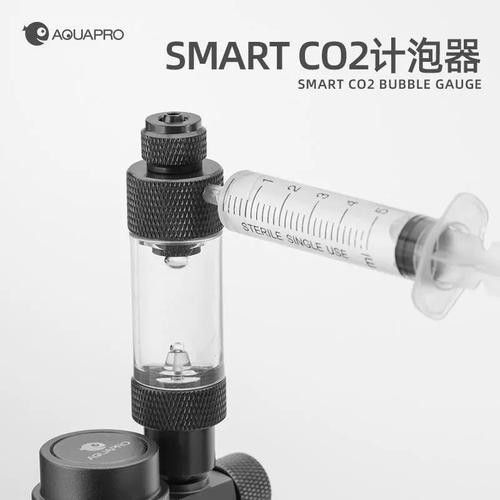 江陵金龍魚屬于什么檔次