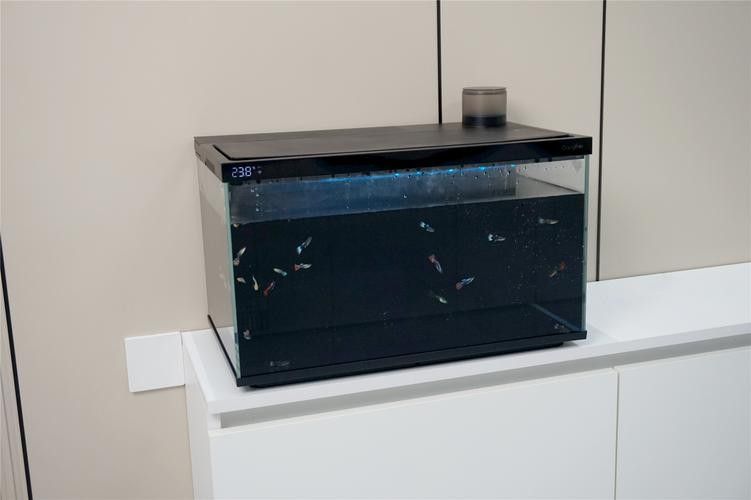 愛惟視品牌魚缸