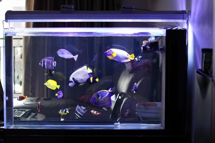 愛惟視品牌魚缸