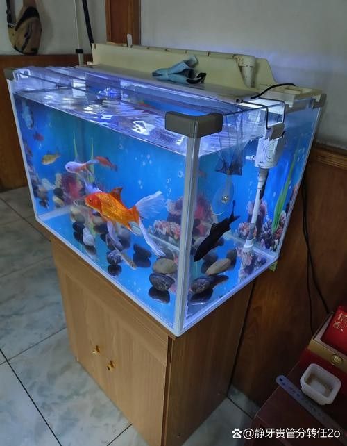 愛惟視品牌魚缸