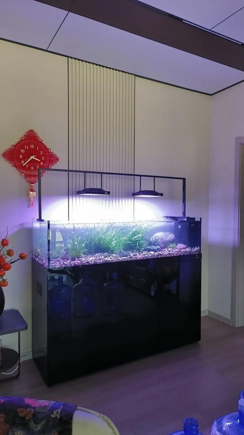 紅龍什么顏色最吉利，紅龍什么顏色最旺財紅龍什么顏色最旺財紅龍什么顏色最旺財 紅龍什么顏色最吉利，紅龍什么顏色最旺財紅龍什么顏色最旺財紅龍什么顏色最旺財 龍魚百科 第1張