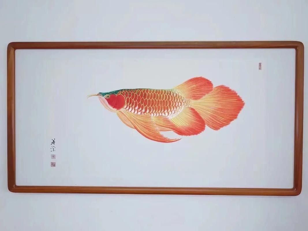 紅龍魚水墨風(fēng)格壁紙示例（紅龍魚水墨風(fēng)格壁紙）