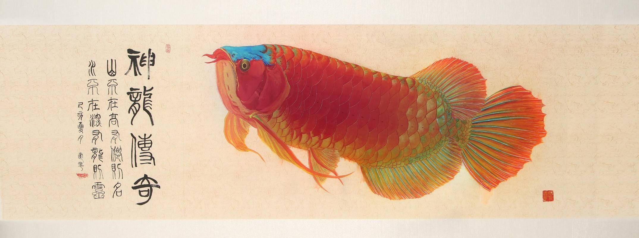 紅龍魚水墨風(fēng)格壁紙示例（紅龍魚水墨風(fēng)格壁紙）