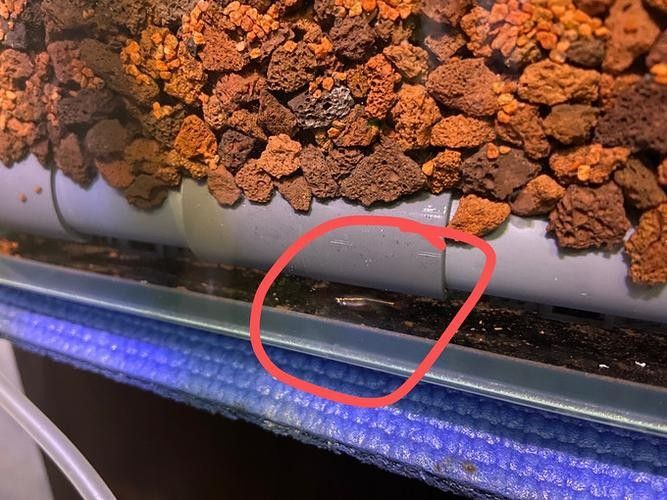 森森魚缸的漏水問題如何解決（森森魚缸漏水怎么修復）