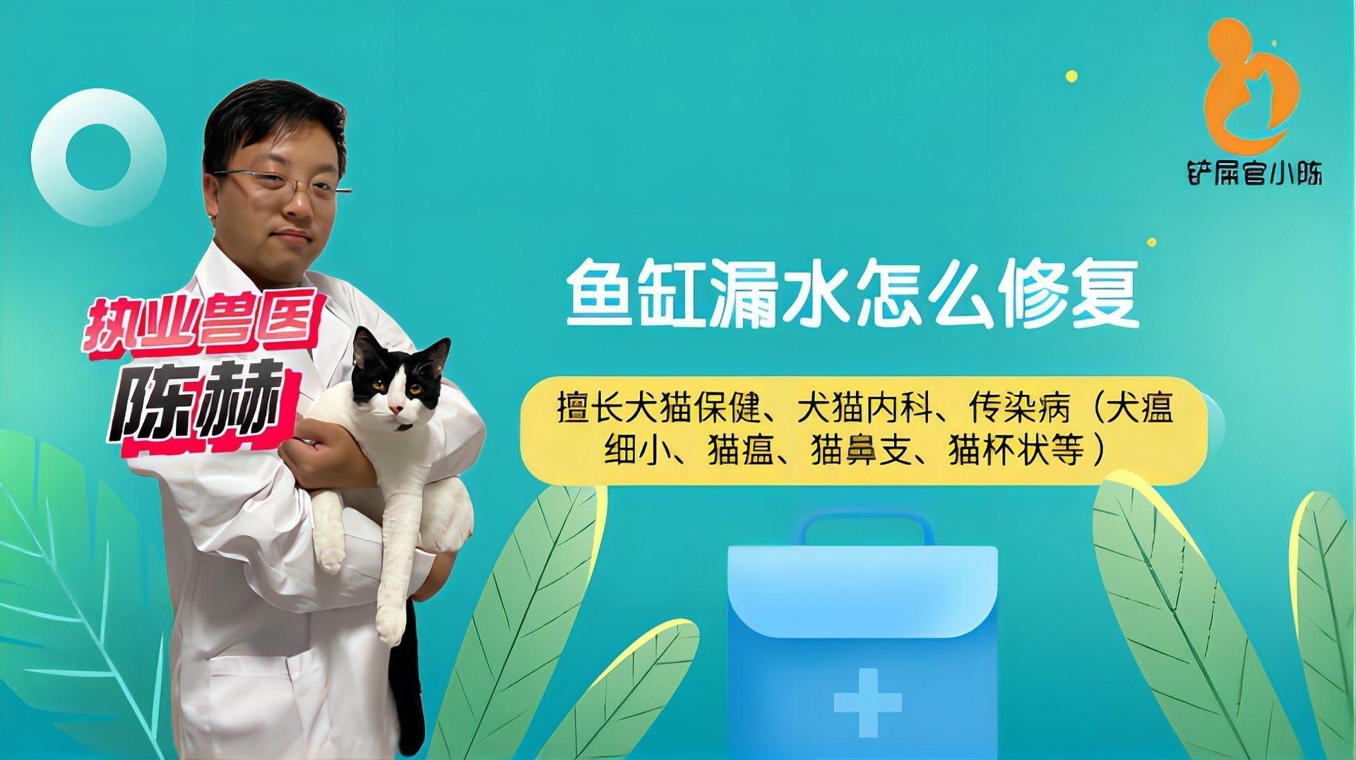 森森魚缸的漏水問題如何解決（森森魚缸漏水怎么修復）