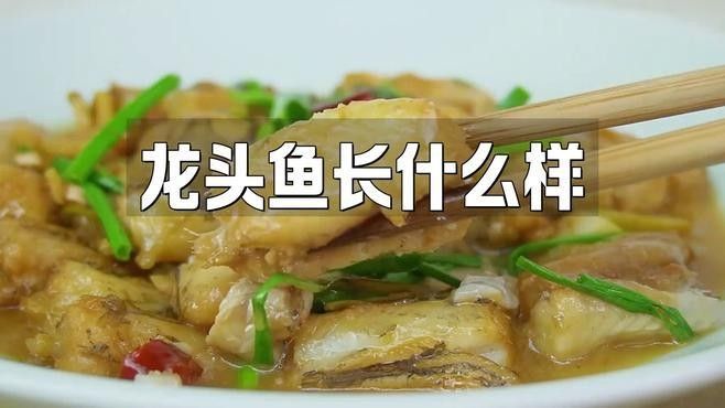龍頭魚如何飼養(yǎng)（飼養(yǎng)龍頭魚要知道這些知識你可以讓你的龍魚快速恢復狀態(tài)素箋繪龍頭魚）