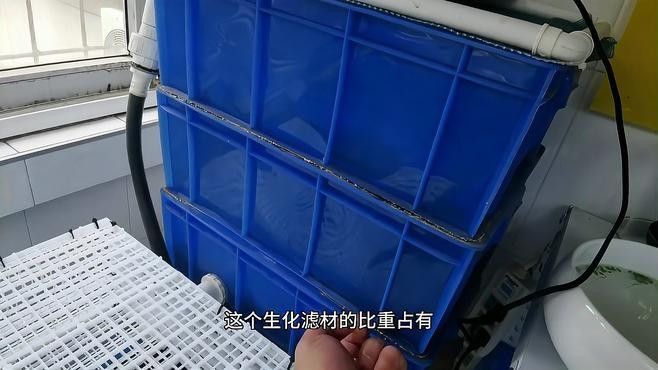 生化過濾層多久清洗一次？（奧利仕魚池過濾棉多久換一次魚缸過濾棉多久清洗一次） 生化過濾層多久清洗一次？（奧利仕魚池過濾棉多久換一次魚缸過濾棉多久清洗一次） 龍魚百科 第3張