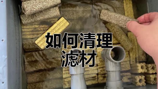 生化過濾層多久清洗一次？（奧利仕魚池過濾棉多久換一次魚缸過濾棉多久清洗一次） 生化過濾層多久清洗一次？（奧利仕魚池過濾棉多久換一次魚缸過濾棉多久清洗一次） 龍魚百科 第4張