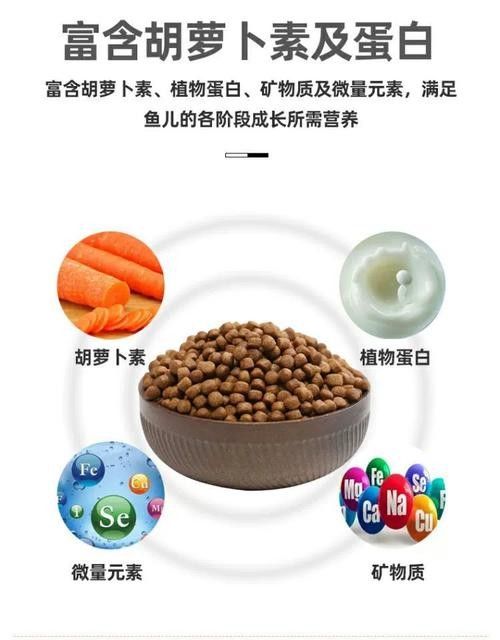 雷龍魚不吃飼料怎么辦？（雷龍魚不吃飼料怎么辦）
