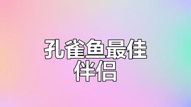 如何選擇適合混養的溫和魚類（孔雀魚和什么魚可以混養怎樣才能混養成功）