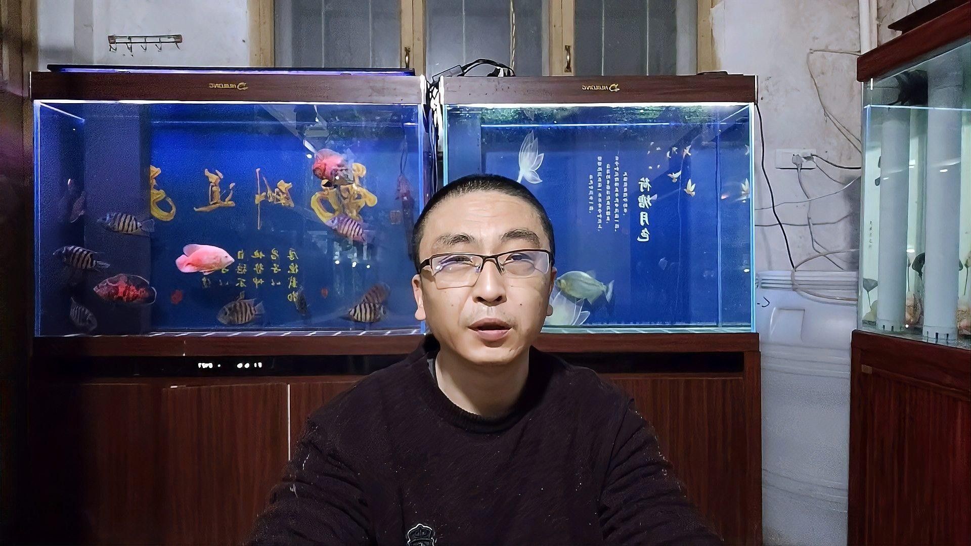 如何選擇適合混養的溫和魚類（孔雀魚和什么魚可以混養怎樣才能混養成功）
