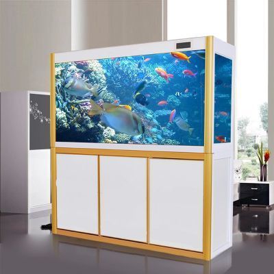 家里客廳魚缸養(yǎng)什么魚好養(yǎng)：在家里客廳養(yǎng)什么魚好養(yǎng)