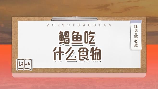 陽朔牌啤酒魚一大代價錢
