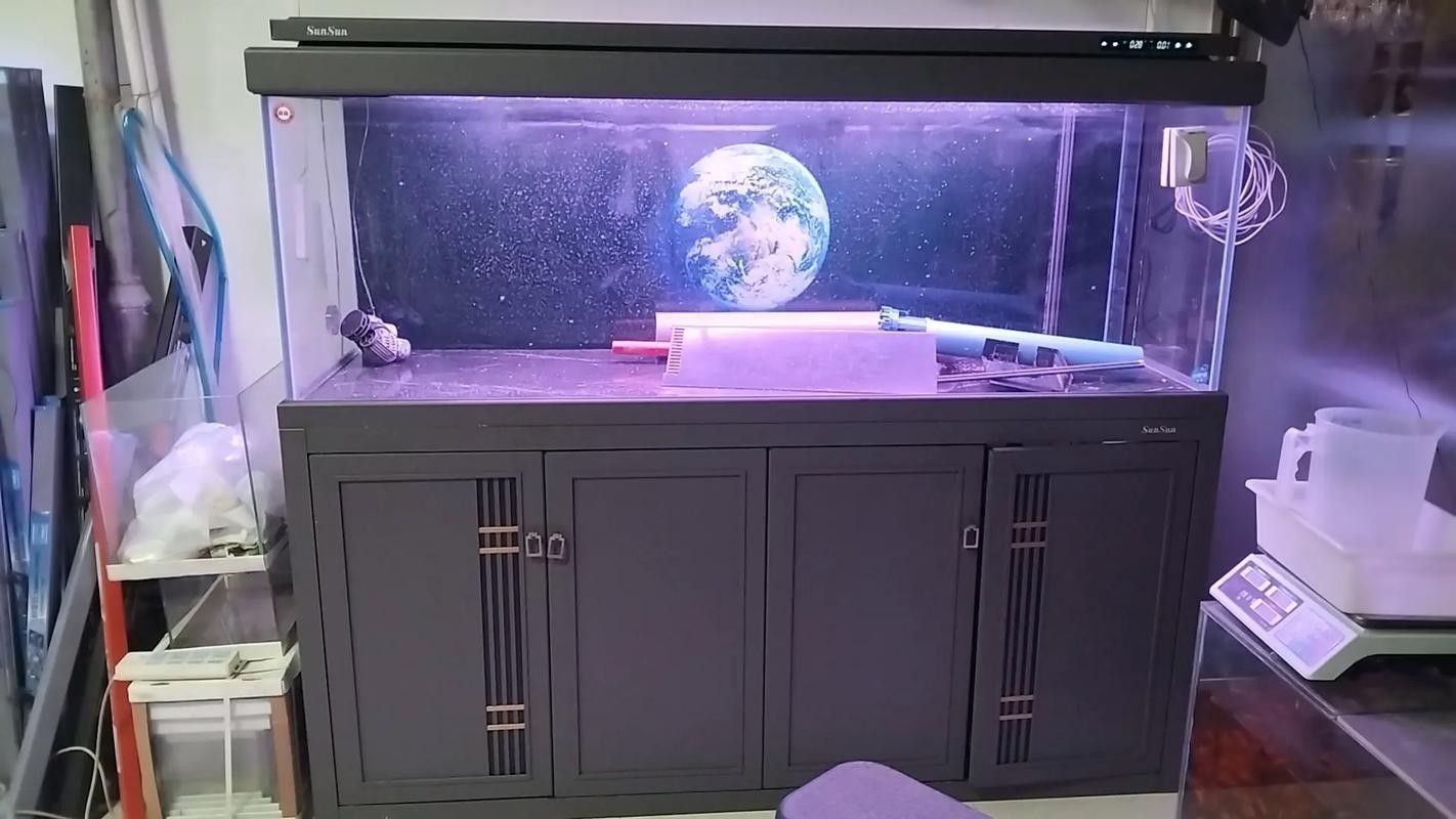 嘉善哪個水族館龍魚好？祥龍魚場龍魚（上海海洋水族館——祥龍魚場） 嘉善哪個水族館龍魚好？祥龍魚場龍魚（上海海洋水族館——祥龍魚場） 龍魚百科 第4張