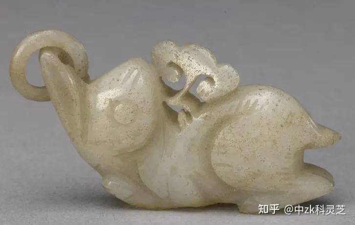 龍龜馱兔的寓意是什么？（龍龜馱兔的傳說故事是什么？）