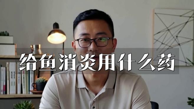 如何判斷龍魚頭部是否感染（如何判斷龍魚頭部感染？） 如何判斷龍魚頭部是否感染（如何判斷龍魚頭部感染？） 龍魚百科 第1張