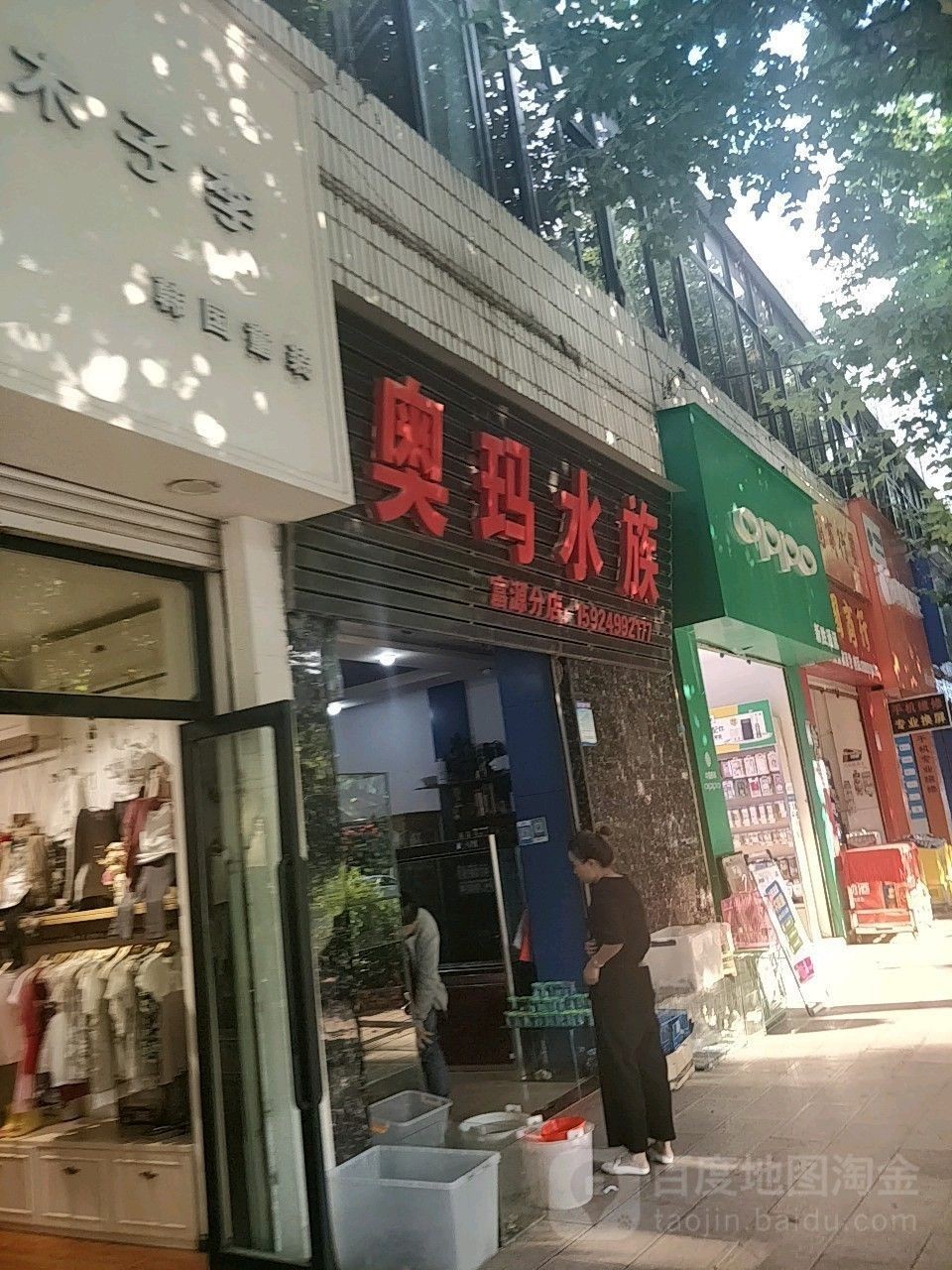 富源哪個水族館龍魚好？祥龍魚場龍魚（云南富源縣祥龍魚場）